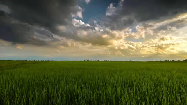 બીબીસી ગુજરાતી, ગુજરાત, બીબીસી, અમદાવાદ, હવામાન, વરસાદ