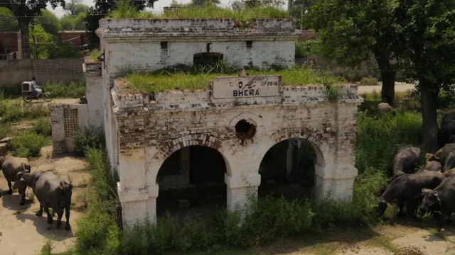 नयनिका का कहना है कि भेरा में 
