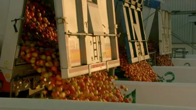 పళ్లు, కూరగాయలు