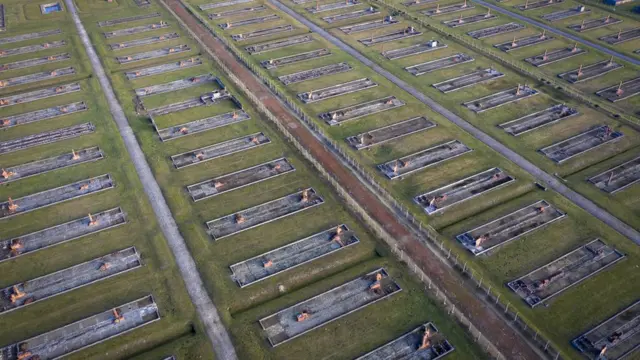 死の沈黙 totenstill 写真集 アウシュビッツAuschwitz The Auschwitz Album