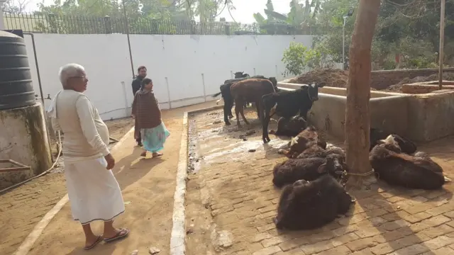 लालू यादव, आरजेडी