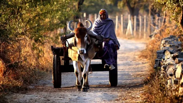 ભારતનો ખેડૂત
