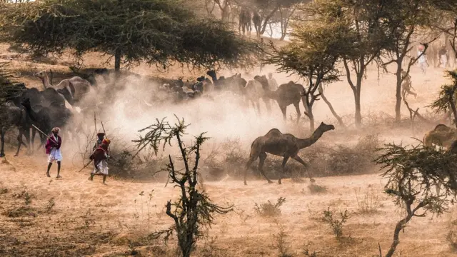 உலகப் புகைப்பட தினம்