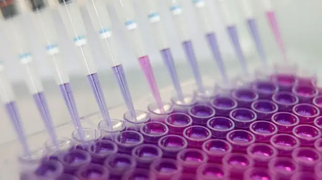 AI는 새로운 백신을 만드는 데 사용할 수 있는 항체 식별에도 사용되고 있다