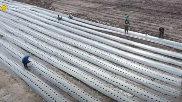 Pekerja menanam bbit jagung di lahan food estate.