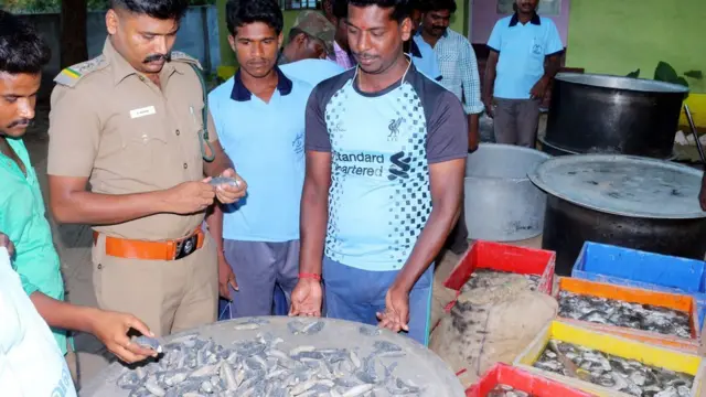 கடல் அட்டைகள்