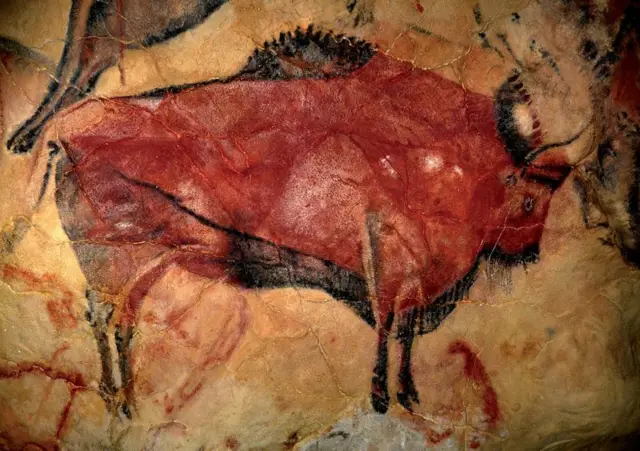 Bison peint dans la grotte d'Altamira.
