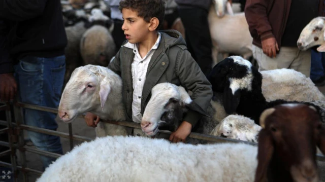 من الضفة الغربية 