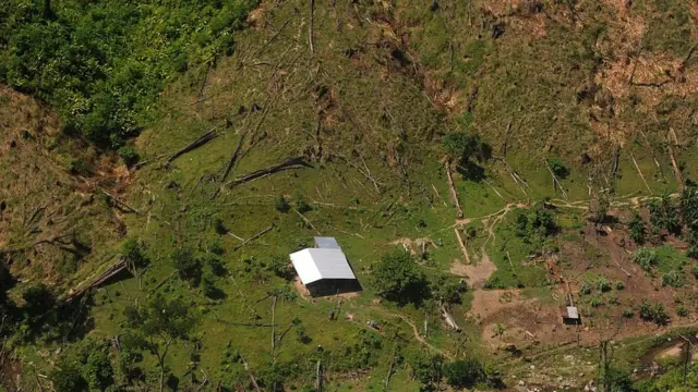 La deforestación en reserva de la biosfera de Río Plátano, Honduras