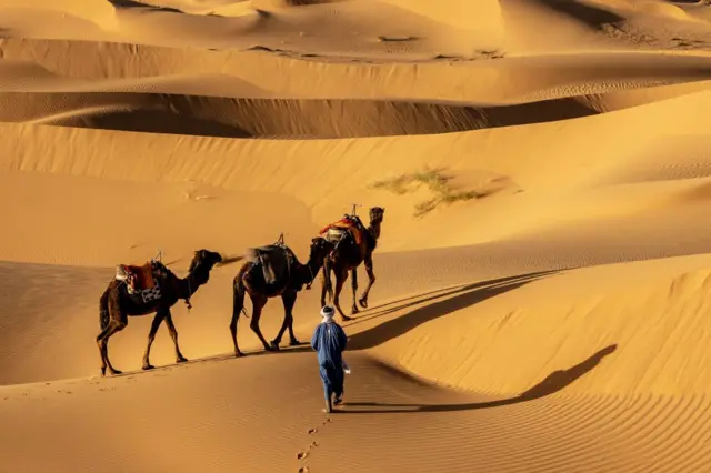 Vue du grand désert du Sahara, couvrant 9 millions de kilomètres carrés et comprenant les pays suivants : Algérie, Tchad, Égypte, Libye, Maroc, Mauritanie, Mali, Niger, Soudan, Tunisie et Sahara occidental.