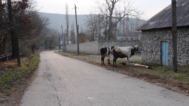 Şəkinin Bideyiz kəndi