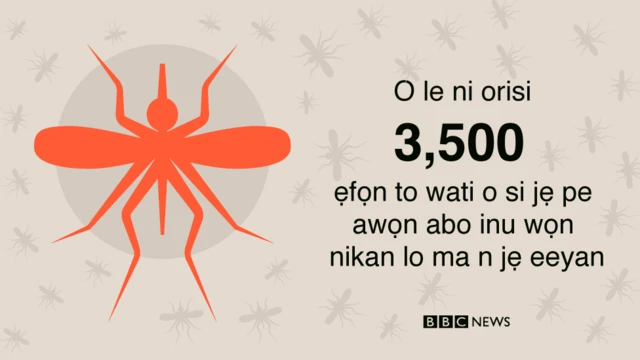 Iba jẹ ọkan lara awọn aisan ti o maa n ba ilẹ adulawọ ja