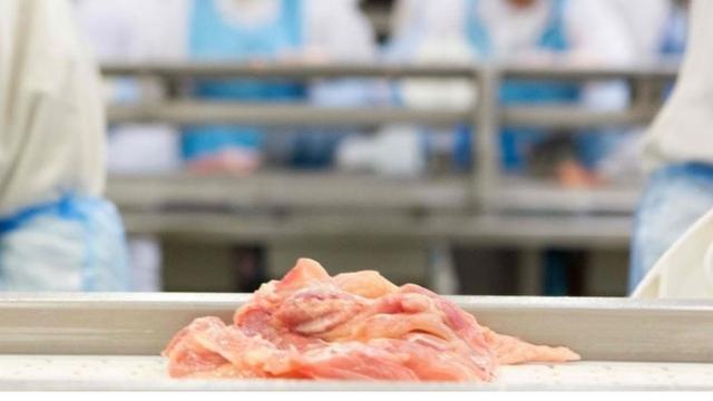 巴西政府危機公關後 香港叫停巴西"黑心肉" - BBC News 中文