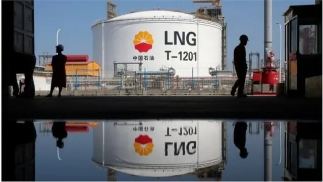 বিশ্বের প্রাকৃতিক সম্পদের একটি বড় অংশ কিনে থাকে চীন