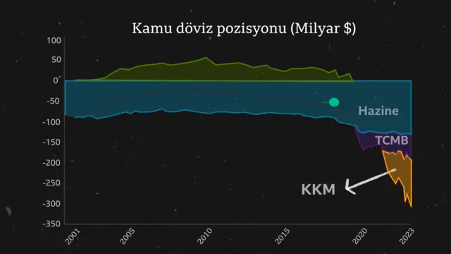 Kamu döviz pozisyonu 