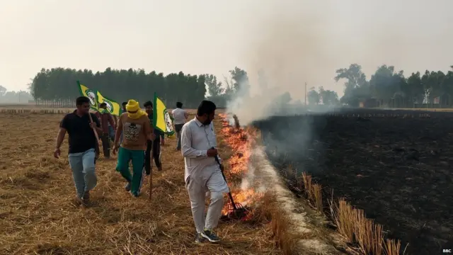 ਪਰਾਲੀ ਅਤੇ ਪ੍ਰਦੂਸ਼ਨ