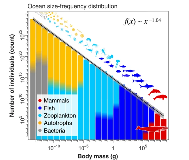 แผนภูมิ