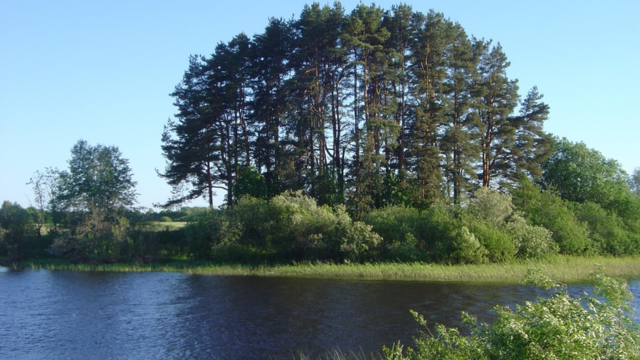 Ріннюкалнс на березі річки Салаци у Латвії - відома стоянка прадавніх людей