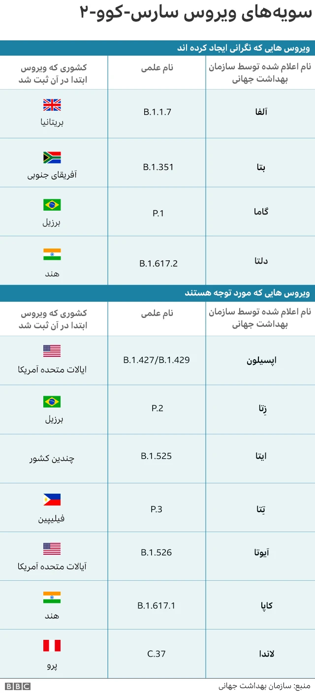 سویه های ویروس کرونا