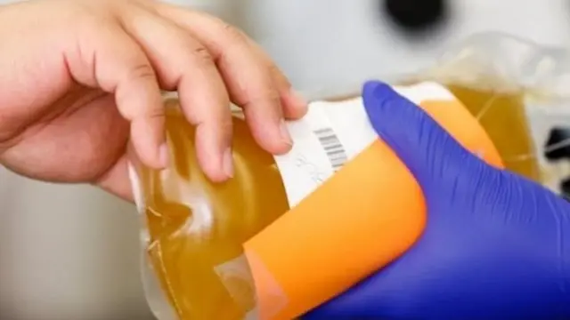 प्लाज़्मा