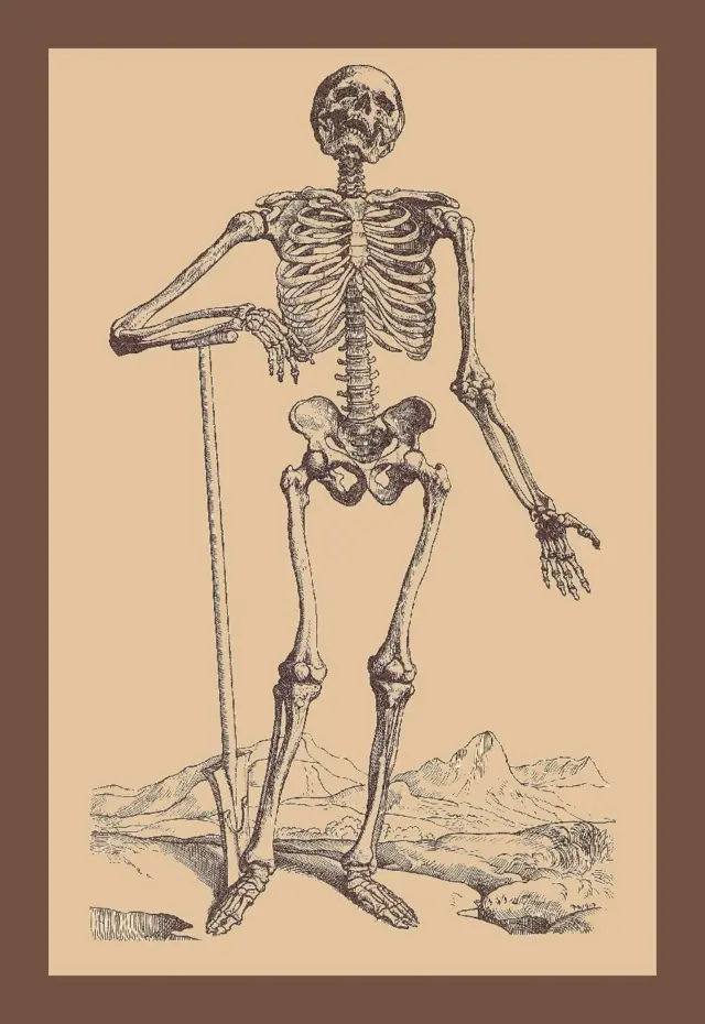 சிவப்புச் சந்தை