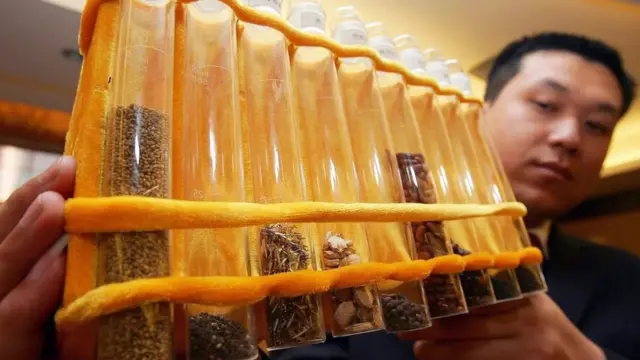 अंतरिक्ष में खेती