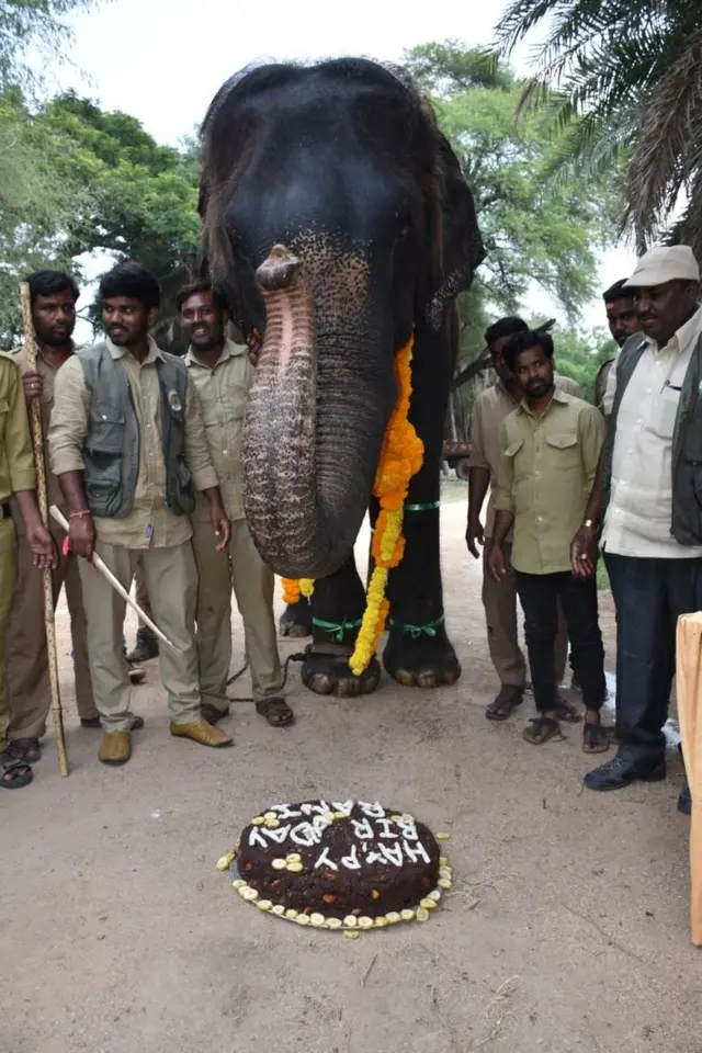 83 ఏళ్ల ఆసియా ఏనుగు రాణి