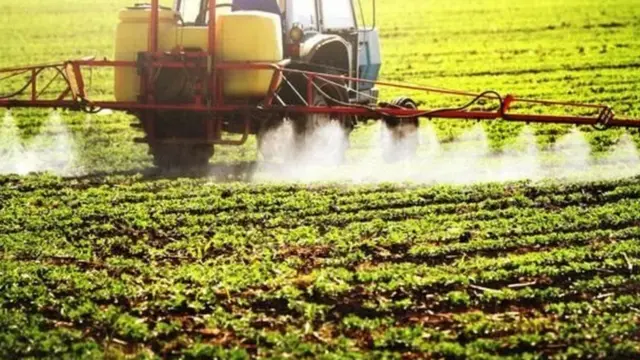 પ્રતીકાત્મક તસવીર