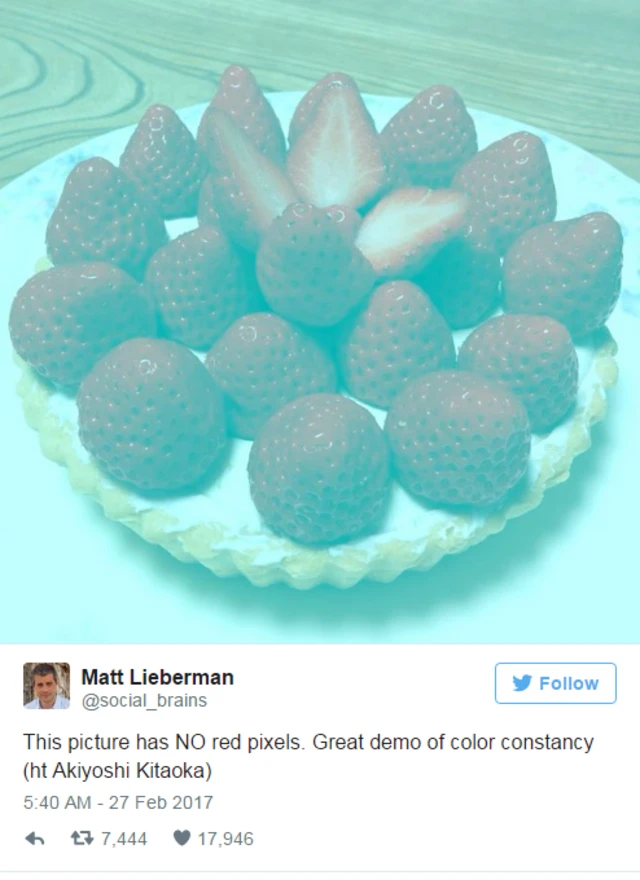 Matt Lieberman/Twitter