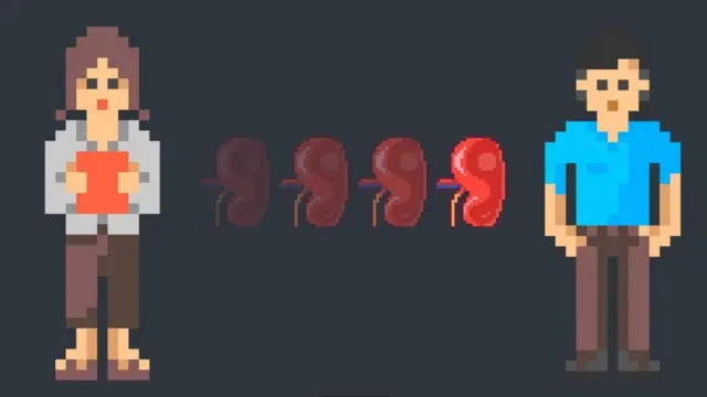 أظهرت دراسة أن نحو خُمس المتبرعين الأحياء بالكلى كانوا زوجات تبرعن لأزواجهن