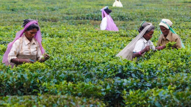 મહિલા કામદારો