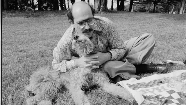 بدأ بلادينو عمله في التحقيقات الخاصة في السبعينيات.