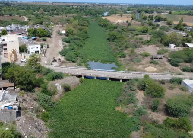 डास आणि गावाची गोष्ट