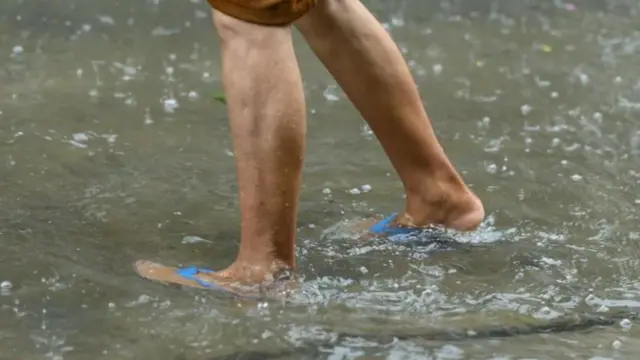 लेप्टोस्पायरोसिस