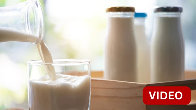 பாலை காய்ச்சாமல் அப்படியே பருகலாமா?