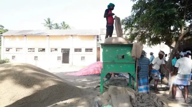 நெல் ஈரப்பதம், குறுவை பயிர்