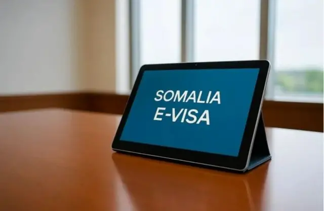 E-Visa