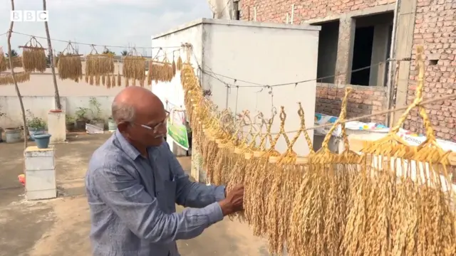 దాలినాయుడు