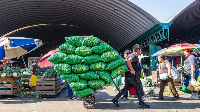 넓은 시장 앞, 커다란 아치형 지붕이 이어진 창고들이 줄지어 서 있다. 그 앞에서 한 남성이 손수레에 실린 커다란 채소 자루들을 끌며 이동하고 있다.