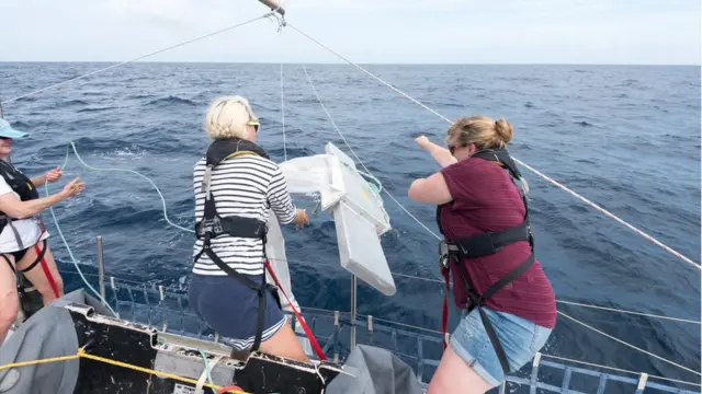 Fotos de la tripulación con una red de arrastre.