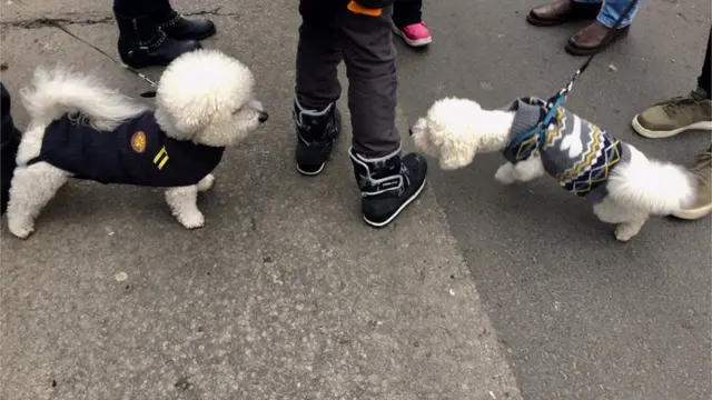 Koncert klasične muzike na platou ispred Narodne Skupštine, Beograd, 1.1.2019.