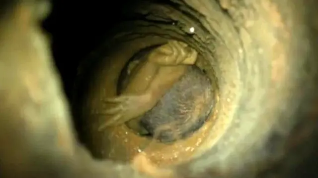 சுஜித் வில்சன்