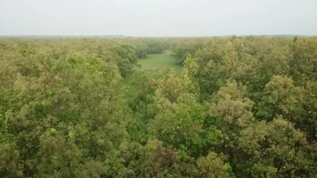 Ayol onanizm bilan shugullanardi va qolga olindi va sikildi.