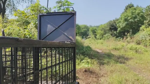 राजस्थान के उदयपुर में तेंदुए का हमला