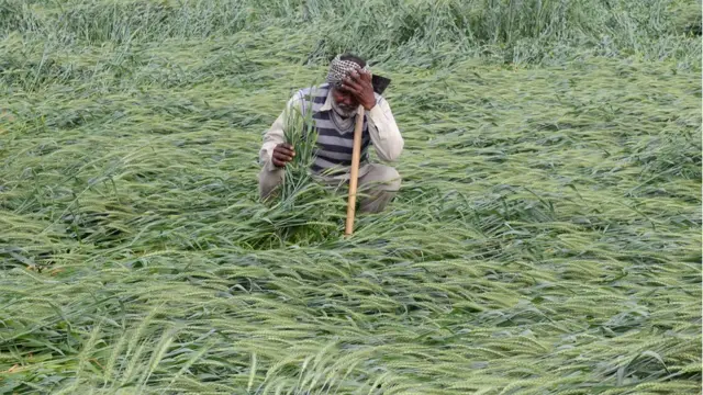 రైతుల ఆత్మహత్యలు, వ్యవసాయ సంక్షోభం