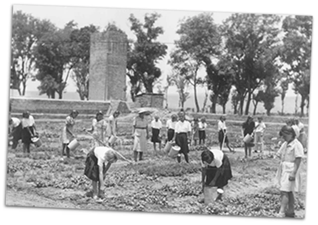Cultivando en la finca Santa Rosa