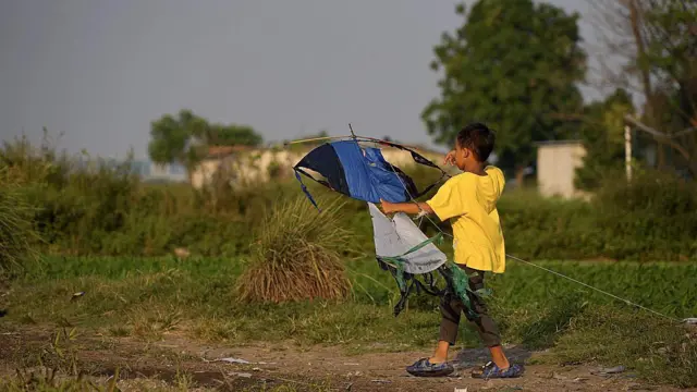 Back view of a boy in a yellow T-shirt holding a large blue kite