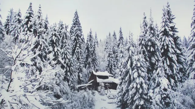 Дерев'яна хатка десь на масиві Боржава