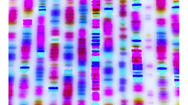 Illustration of a genome