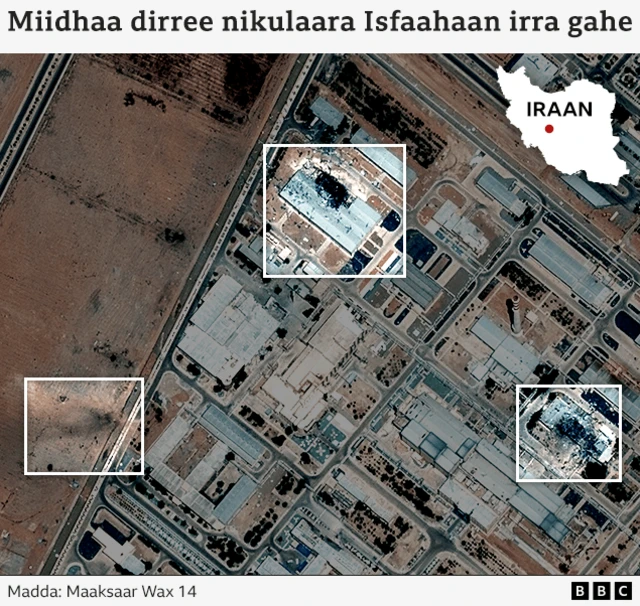 Miidhaa dirree nilulaaraa irra qaqabe